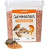 petifool Gammarus 550 g - Granchi di pulci di Bach, spuntino sano per tartarughe, pesci, uccelli, rettili e roditori, mangime naturale