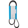 DAYCO 6PK1215 Cinghia Poly-V