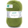 Gründl Big Mamma Uni (Lana per Maglieria, Set per Uncinetto, Filato per Maglieria e Uncinetto Effetto Lana, 100% poliacrilico, 400 g / 1040 m, Spessore del Ferro: 3,5-4,5, 1 x 400 g), Verde Erba