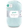 Gründl Big Mamma Uni (Lana per Maglieria, Set per Uncinetto, Filato per Maglieria e Uncinetto Effetto Lana, 100% poliacrilico, 400 g / 1040 m, Spessore del Ferro: 3,5-4,5, 1 x 400 g), Mint