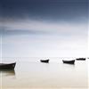 Adriani & Rossi Quadro Nature 1888 in diverse misure - Tela Canvas
