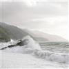 Adriani & Rossi Quadro Nature 0952 in diverse misure - Tela Canvas
