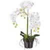 Adriani & Rossi Orchidea artificiale