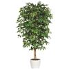 Adriani & Rossi Pianta artificiale Ficus Benjamina - Con vaso