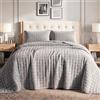 Tribeca Living Set di biancheria da letto matrimoniale in velluto, due pezzi, include una trapunta sovradimensionata e una federa copricuscino, velluto morbidissimo da 260 g/m², Firenze/grigio argento