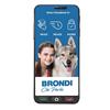 Brondi - Bar Phone Amico Smartphone S+-nero