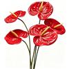 Rikyo 5 pezzi 61 cm fiori artificiali di giglio di anthurium permanenti per decorazione della casa, bouquet di fiori per casa, sposa, matrimonio, festival, feste, artigianato, decorazione negozio