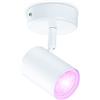 WiZ Lampadina Smart WiFi, Luce Bianca o Colorata Dimmerabile, E27, 8.5W,  Controllo tramite app o Controllo Vocale (Alexa, Apple HomeKit, Google  Home) : : Illuminazione