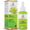 Colours Of Life Olio Cellulite 100 Ml