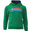 CHAMPION 305437-F20 verde (GS007)