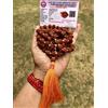 CERTIFICATO LABORATORIO 5 Mukhi RUDRAKSHA Rudraksh Mala ROSARIO 108+1 perline...