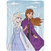 Jay Franco Disney Frozen Sorelle Insieme 130 x 150cm Plaid in Seta