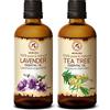 AROMATIKA trust the power of nature Olio Essenziale di Lavanda e Tea Tree 2x100ml - Lavandula Angustifolia - Melaleuca Alternifolia - Oli per aromaterapia - Puri e naturali - Oli essenziali per diffusore - Profumi per la Casa