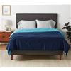 Amazon Basics Trapunta Invernale Matrimoniale Reversibile in Microfibra, 220 x 240 cm, blu navy/azzurro cielo