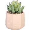 Sleepdown Halo verde artificiale artificiale pianta grassa rosa geo vaso per la casa ufficio bagno decorazione interna estetica