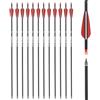 ELONG OUTDOOR 31 Pollici Freccia di Carbonio 12Pcs, Spine 500 Tiro con L'Arco Frecce in Fibra Sostituibile Broadhead Nock Ruotabile per Arco Ricurvo Arco Compound per Allenamento di Tiro al Bersaglio