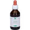 Frassino Macerato Glicerico 100 Ml ml Gocce orali