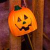 TECNO-NATALE BASTONCINO DA GIARDINO ZUCCA HALLOWEEN 1 LED -LEDX35720