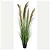 Bizzotto Pianta Carine Pampas Verde Marrone con Vaso H145