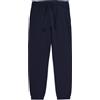 Champion elastic cuff pants