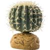 Exo Terra - Cactus, Piccolo