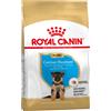 Royal Canin Breed Royal Canin Pastore tedesco (German Shepherd) Puppy Crocchette per cane - 3 kg