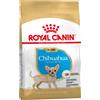 Royal Canin Breed 1,5kg Chihuahua Puppy Royal Canin alimento secco per cani