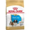 Royal Canin Breed 1,5kg Shih Tzu Puppy Royal Canin alimento secco per cani