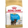 Royal Canin Breed 1,5kg Puppy Yorkshire Terrier Royal Canin alimento secco per cani