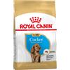 Royal Canin Breed 3kg Cocker Puppy Royal Canin alimento secco per cani