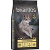 Briantos Adult Mobility Pollo & Patate - senza cereali Crocchette per cane - Set %: 2 x 12 kg