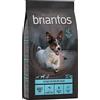 Briantos Adult Mini Salmone & Patate - senza cereali Crocchette cane - 12 kg