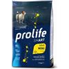 Prolife Smart Adult Chicken & Rice Mini Crocchette Di Pollo E Riso Per Cani Adulti Di Taglia Piccola Formato 2.00 kg