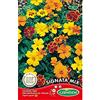 Germisem Signata Mixed Semi di Tagetes 0.5 g