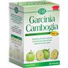 esi garcinia cambogia