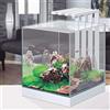CIANO Aquarium Aquarius Nexus Pure Cube 25 - Set completo 22 litri con LED, filtro interno e materiali di consumo