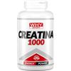 WHY SPORT CREATINA 1000 - Creatina - Pre Workout - Integratore Alimentare a Base di Creatina Monoidrato - 240 Compresse