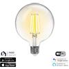 Aigostar Lampadina Led a Filamento Smart G125 E27 6W WiFi CCT luce regolabile e dimmerabile Aigostar