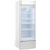 COOL HEAD Armadio frigorifero - Capacità Lt 300 - cm 52 .5 x 55.5 x 163.5h