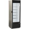 U 5 Vetrina Freezer per gelati e surgelati - Capacità litri 323 - cm 61 x 63.9 x 184.4 h