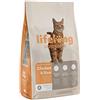 Lifelong Marchio Amazon - Lifelong - Complete Alimento secco completo per gatti adulti ricco in pollo e riso, 1 Confezione da 3kg
