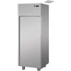 D.L. SERVICE Armadio frigorifero - Pesce - Capacità Litri 400 - Cm 62 x 67 x 196 h