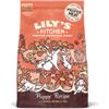 Lily's Kitchen Cane Pollo e Salmone Puppy Recipe Lily's Kitchen 2,5 Kg