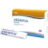 Princeps Droseflu 10 Bustine 15 Ml 10x15 ml Bustina