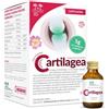 Salugea (Reload Srl) Cartilagea Salugea - Integratore per le Cartilagini flaconcini 18x12 ml Soluzione orale