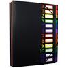 UBAYMAX Folder A4 Impermeabile Espandibile File Organizer con 12 Tasche Porta Documenti per Scuola Ufficio Viaggio Famiglia Nero