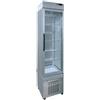 D.L. SERVICE Vetrina refrigerata - Capacità 250 lt - cm 46 x 64 x 191h BRONZO