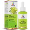 Colours of Life Optima Naturals Colours Of Life - Olio Cellulite Snellente Tonificante, 100ml
