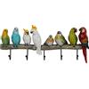 Kare Design appendiabiti da parete Exotic Birds, multicolori, 54 cm (l)