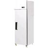 D.L. SERVICE Armadio congelatore litri 410 - cm 60 x 73 x 194.5 h